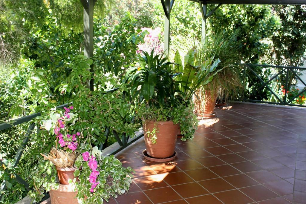 Somerset Lodge Montagu Bagian luar foto