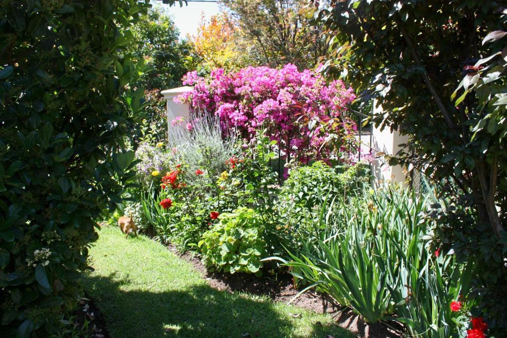 Somerset Lodge Montagu Bagian luar foto